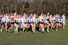 Girls under-15s 2025 Northern Cross Country Champs, Tatton Park, Knutsford, Cheshire. Photo: David T. Hewitson/Sports for All Pics